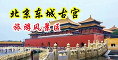 男人的鸡巴插进女人的逼里视频中国北京-东城古宫旅游风景区